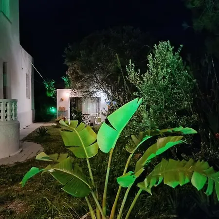 Azalea Garden With Mountain View Σπίτι διακοπών